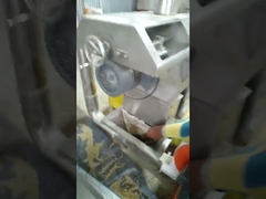 Evcil hayvan yemi ekstruder makinesinin yerinde operasyon öğretimi hizmeti