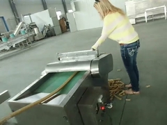 Kibble Food Evcil köpek kedi Tedavi Makinesi Ekstruder Ekipmanları BV Sertifikası