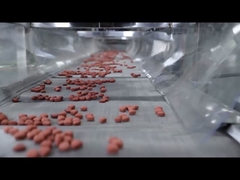 Tam Otomatik CE Belgesi Köpek Maması Ekstruder Pet Gıda İşleme Hattı