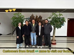 Otomatik evcil hayvan maması ve kedi maması üretim hattı, Brezilya'dan müşteri