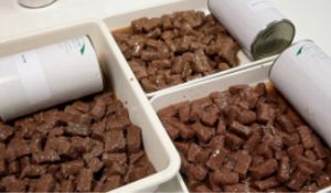 Professional Pet Food Processing Line / Machinery For Animal Food