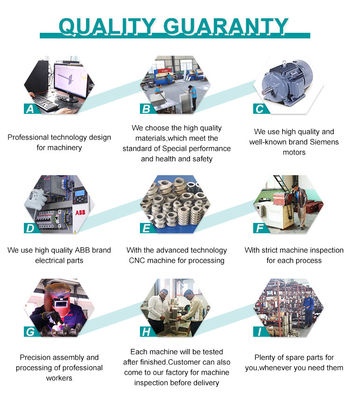 200kg/H 260kg/H Paslanmaz Çelik Evcil Hayvan Yemi Makinası