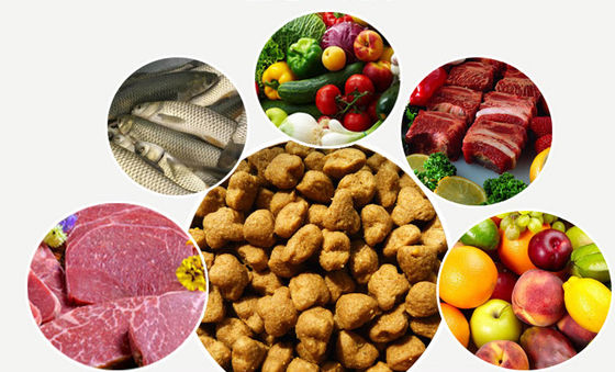 SBN Tamamen Otomatik Köpek Maması Üretim Makinesi