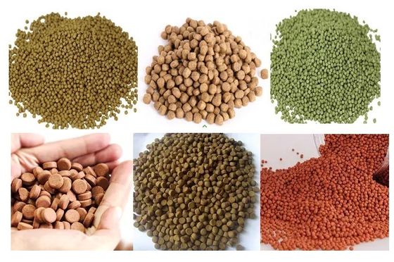 Yüzen Balık Yemi ve Batan Balık Yemi Üretim Hattı