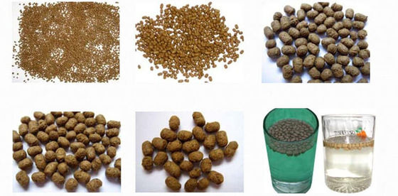 Evcil hayvan yemi ekstruder makinesinin yerinde operasyon öğretimi hizmeti