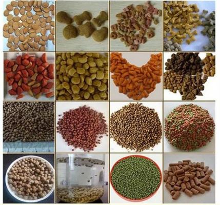 4t/h paslanmaz su balığı besleme ekstrüder makinesi Siemens motoru ile