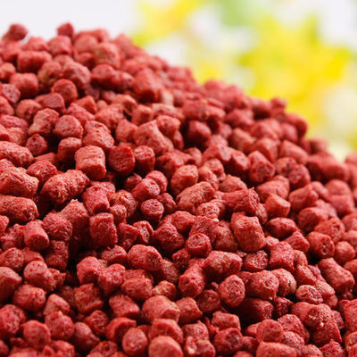 Endüstriyel 220V Çift Vidalı 100kg/Saat Balık Yemi Ekstrüderi