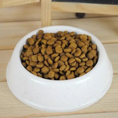 100 kg/saat köpek maması peleti makinesi