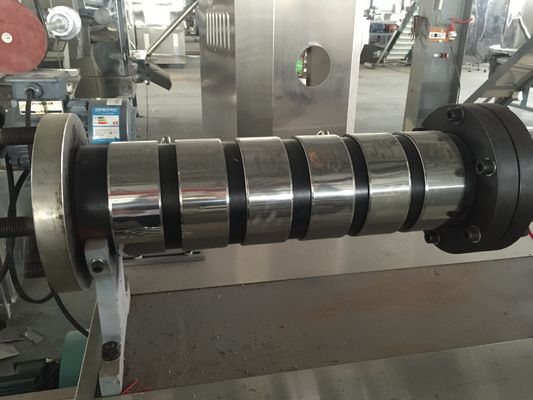 Delta Inverter 100kg/saat yüzen balık yemleri üretim hattı