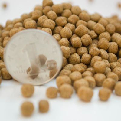 2-3 TPH Yüzen Balık Yemleri Ekstrüder Paslanmaz Çelik 201 Malzeme