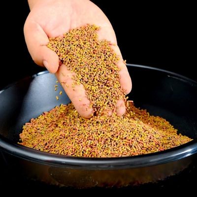 2000-6000 kg/h Çimciği Yüzen Balık Besleme Ekstrüörü Balık Besleme Makineleri