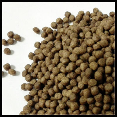 SUS 304 Yüzen Balık Besleme Ekstrüder makinesi Farklı kalıplar Daha kolay işleme