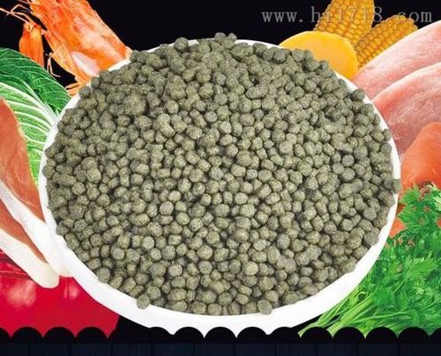 400-500kg/S Vida Burgu Balık Yemi Ekstrüderi Küçük Yüzen Balık Yemi Makinesi