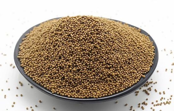 SS201 Balık Yemi Ekstruder Yüzen Balık Pelet Yapma Makinesi