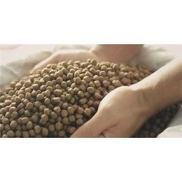 200-260KG/H Çift Balık Yemi Pelet Makinesi Balık Besleme Ekipmanı