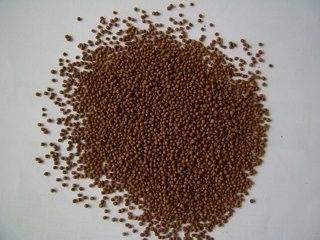 200-260KG/H Çift Balık Yemi Pelet Makinesi Balık Besleme Ekipmanı