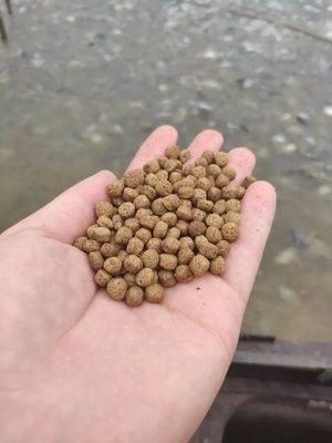 100-160 kg/Saat Yüzen Balık Yemleri Makinesi Pellet Mill