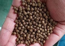 SUS Akvaçülüm Balık Yemleri Üretim Makinesi 100kg/H-6t/H