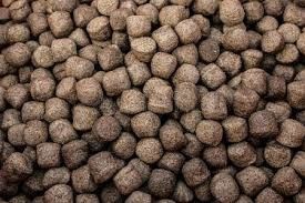 6TPH Çift Vidalı Balık Yemi Ekstrüderi Yüzen Balık Yemi İçin