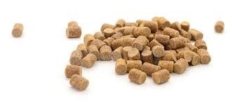 6TPH Çift Vidalı Balık Yemi Ekstrüderi Yüzen Balık Yemi İçin