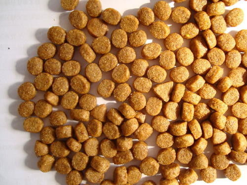 Çift vida SUS Balık besleme ekstrüderleri Balık besleme üretim makineleri