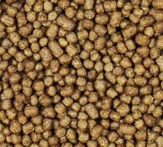 Çift vida SUS Balık besleme ekstrüderleri Balık besleme üretim makineleri