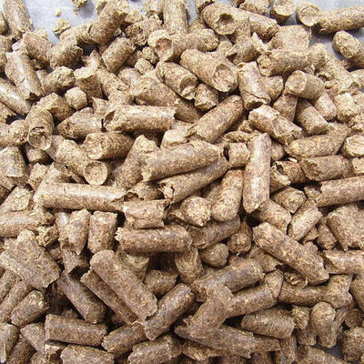 Su Ürünleri Tam Otomatik Yüzer Balık Yemi Makinesi 100-160kg/Saat