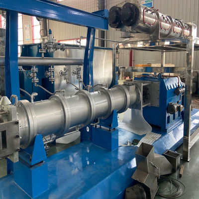 Delta Inverter 100kg/saat yüzen balık yemleri üretim hattı